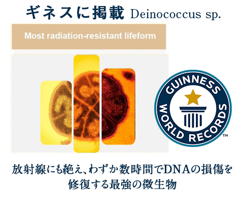 Deinococcus
